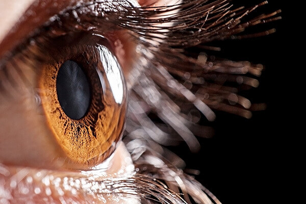 Close up of the cornea